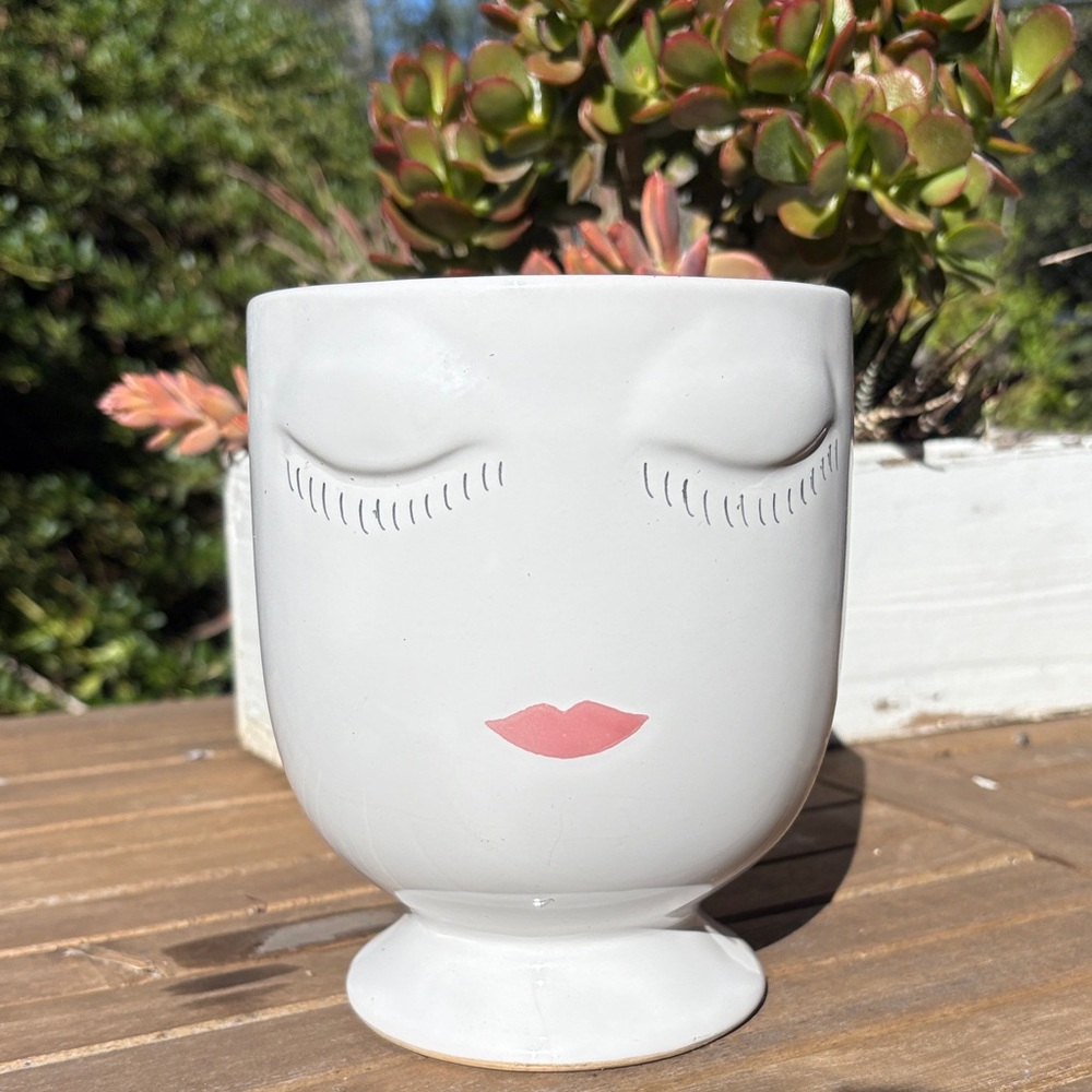 The Face Planter Large Size
